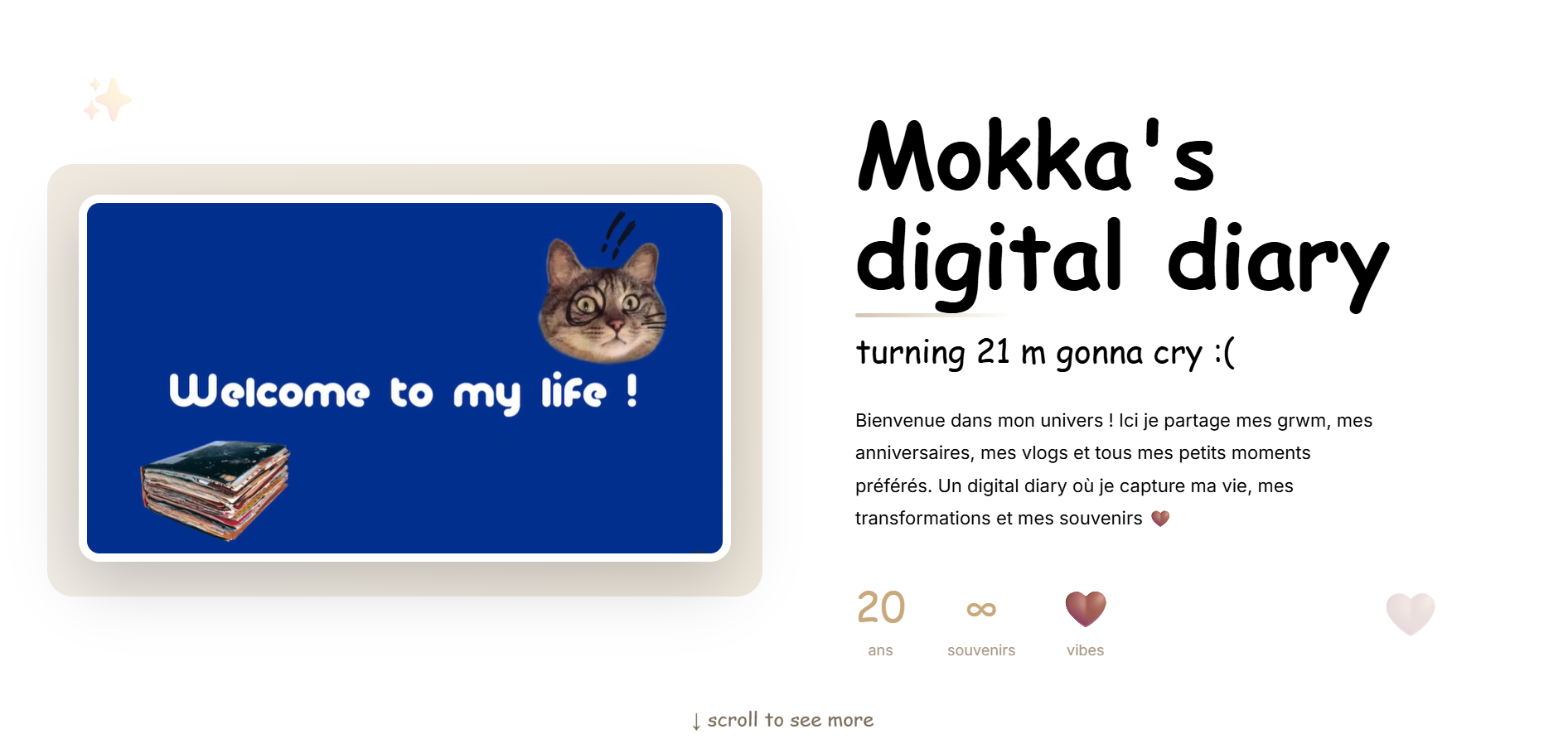 Projet Digital Diary ( for fun hihi )
